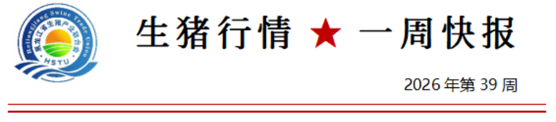 02b12a58c9a4dc21700b95cd9ddc67b2.png