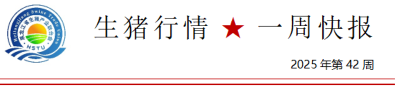 7c7206ed1d506de3f34245c33e6020f4.png