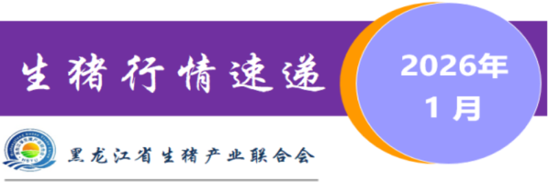 upload_e4e59167711d43cf003685f9aea3516d.png image.png