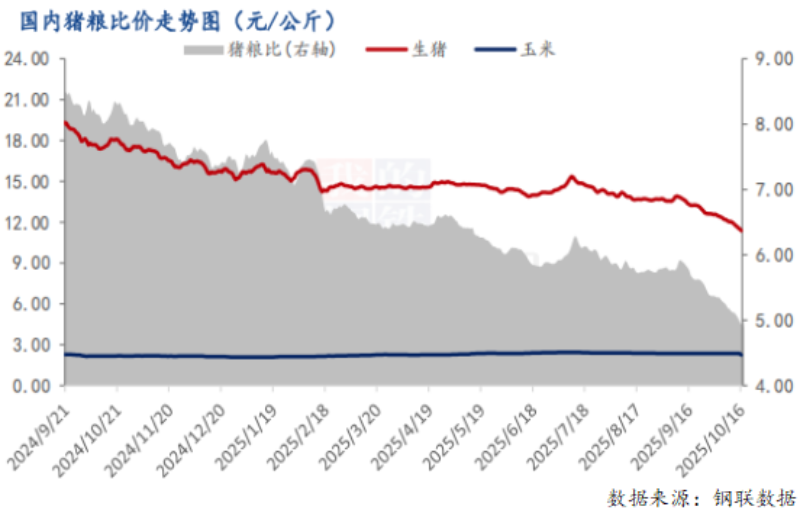 20122e40b87f28be1bfb4692f625b750.png