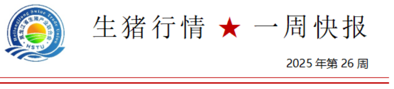 d11badfa1755c5276fb2d8694ab5d01.png